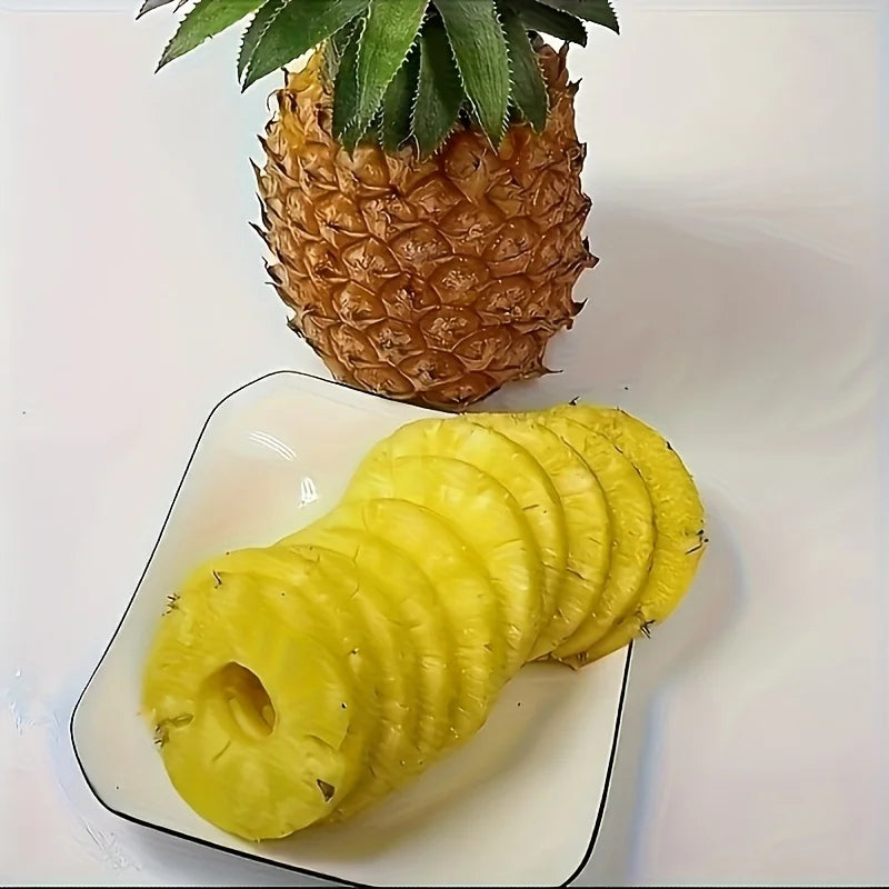 A Stainless Steel Pineapple Corer And Slicer That Is Ergonomically Designed for Comfort. This Multifunctional Tool